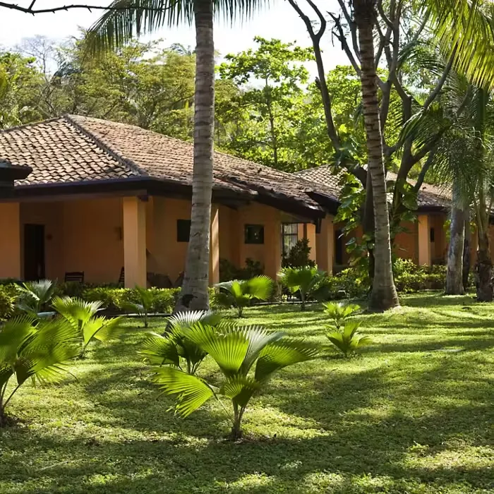 Passer ses vacances au Barceló Montelimar en janvier : soleil, découvertes et aventures au Nicaragua
